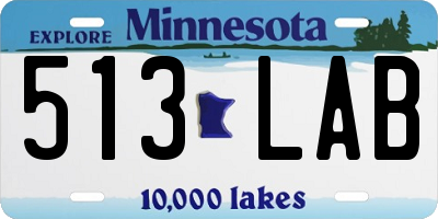 MN license plate 513LAB