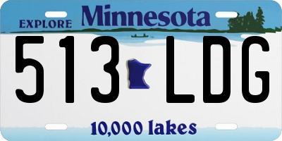 MN license plate 513LDG