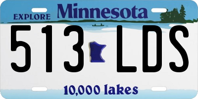 MN license plate 513LDS