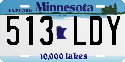 MN license plate 513LDY
