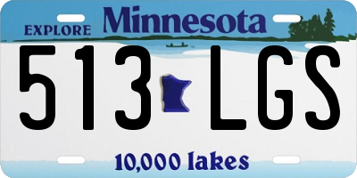 MN license plate 513LGS