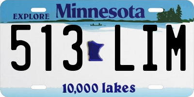 MN license plate 513LIM