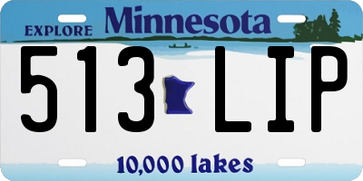 MN license plate 513LIP