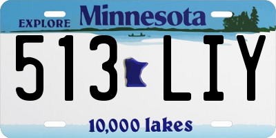 MN license plate 513LIY