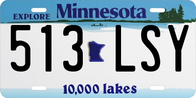 MN license plate 513LSY