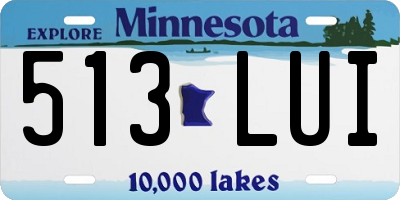 MN license plate 513LUI