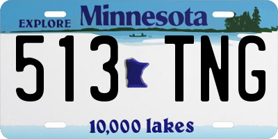 MN license plate 513TNG