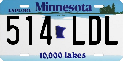 MN license plate 514LDL