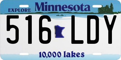 MN license plate 516LDY