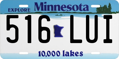 MN license plate 516LUI