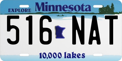 MN license plate 516NAT