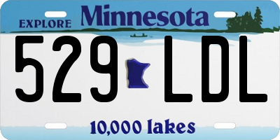 MN license plate 529LDL