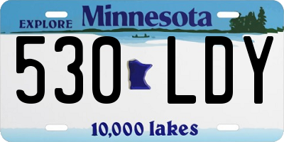 MN license plate 530LDY