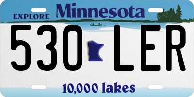 MN license plate 530LER