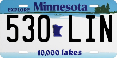 MN license plate 530LIN