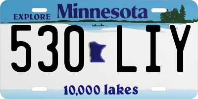 MN license plate 530LIY