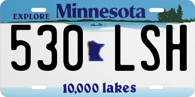 MN license plate 530LSH
