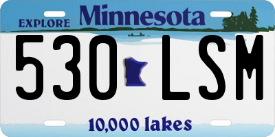 MN license plate 530LSM
