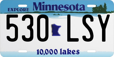 MN license plate 530LSY