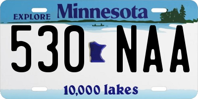 MN license plate 530NAA
