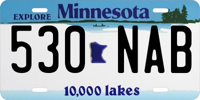 MN license plate 530NAB