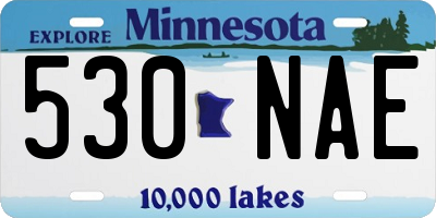 MN license plate 530NAE