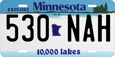 MN license plate 530NAH