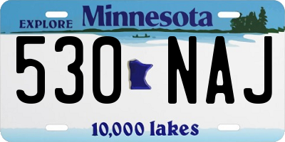 MN license plate 530NAJ