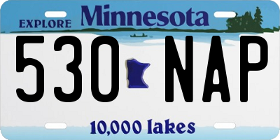 MN license plate 530NAP