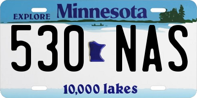 MN license plate 530NAS