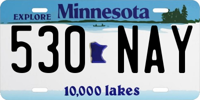 MN license plate 530NAY