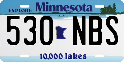 MN license plate 530NBS