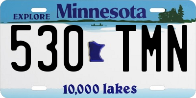 MN license plate 530TMN