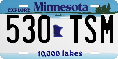 MN license plate 530TSM