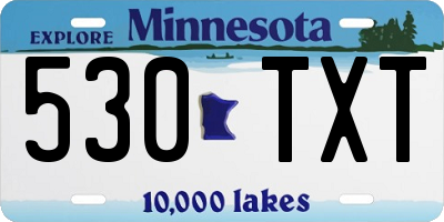 MN license plate 530TXT