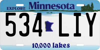 MN license plate 534LIY