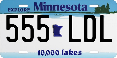 MN license plate 555LDL