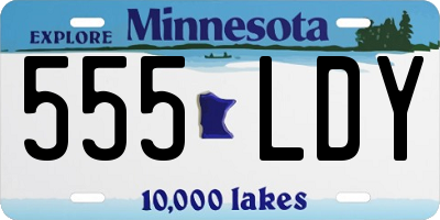 MN license plate 555LDY