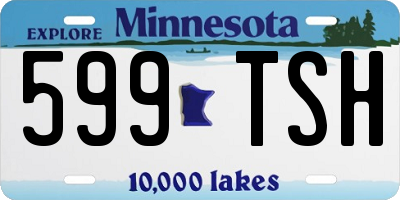 MN license plate 599TSH