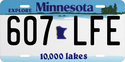 MN license plate 607LFE