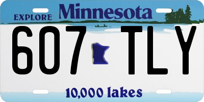 MN license plate 607TLY