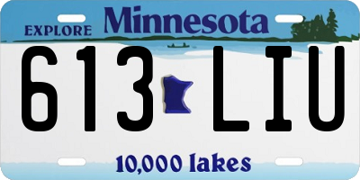 MN license plate 613LIU