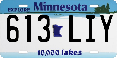 MN license plate 613LIY