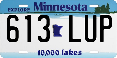 MN license plate 613LUP