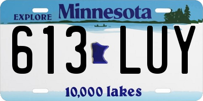 MN license plate 613LUY