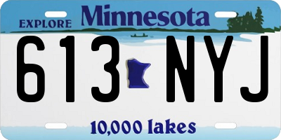 MN license plate 613NYJ