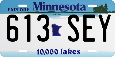 MN license plate 613SEY