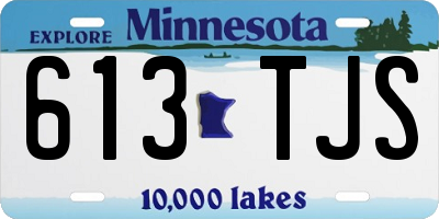 MN license plate 613TJS