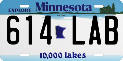 MN license plate 614LAB