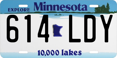 MN license plate 614LDY